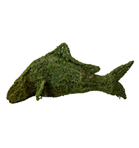 Topiary Fish